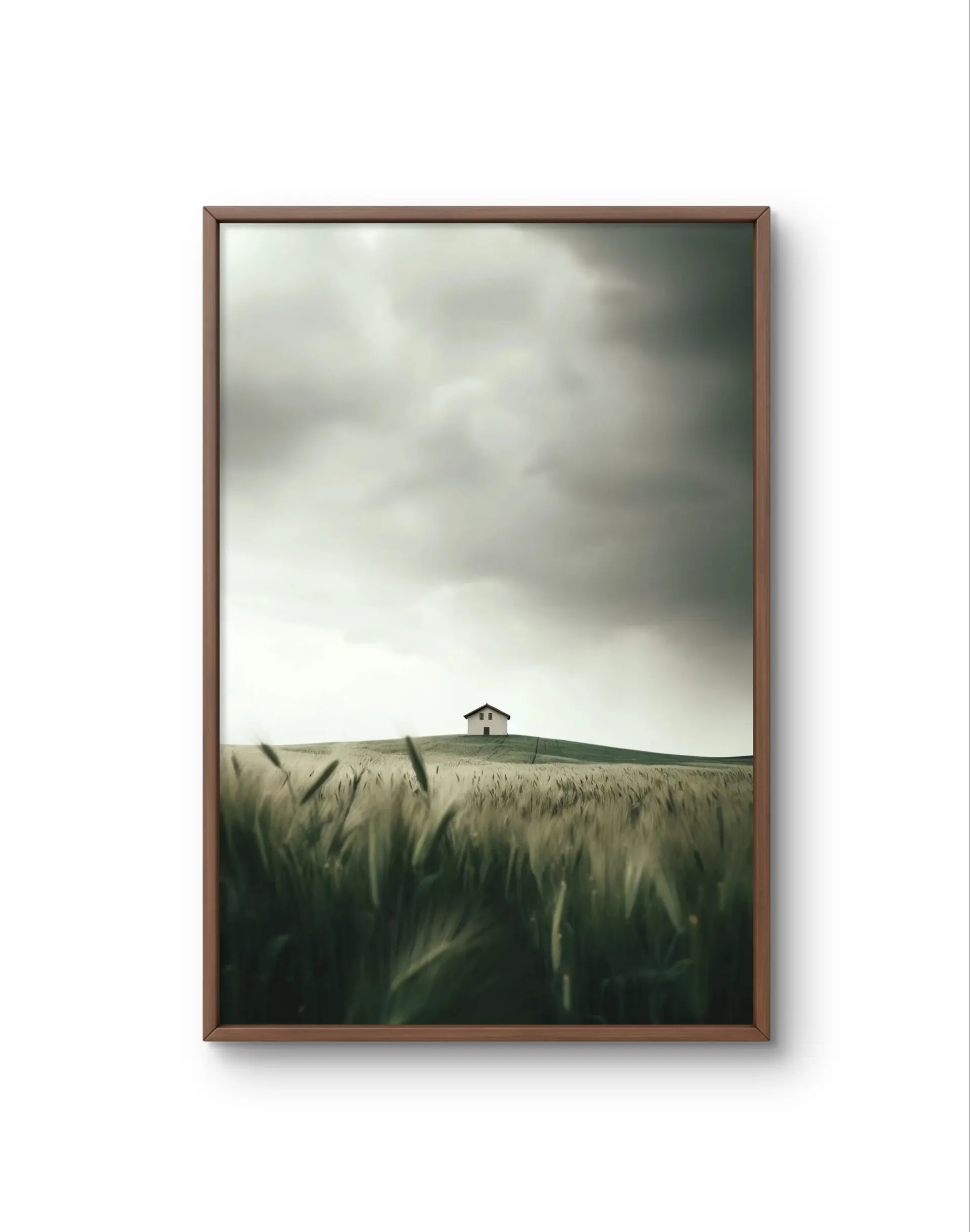 Bellucci - Solitude on the Hill — Fotografie is prima kunstprint door Bellucci