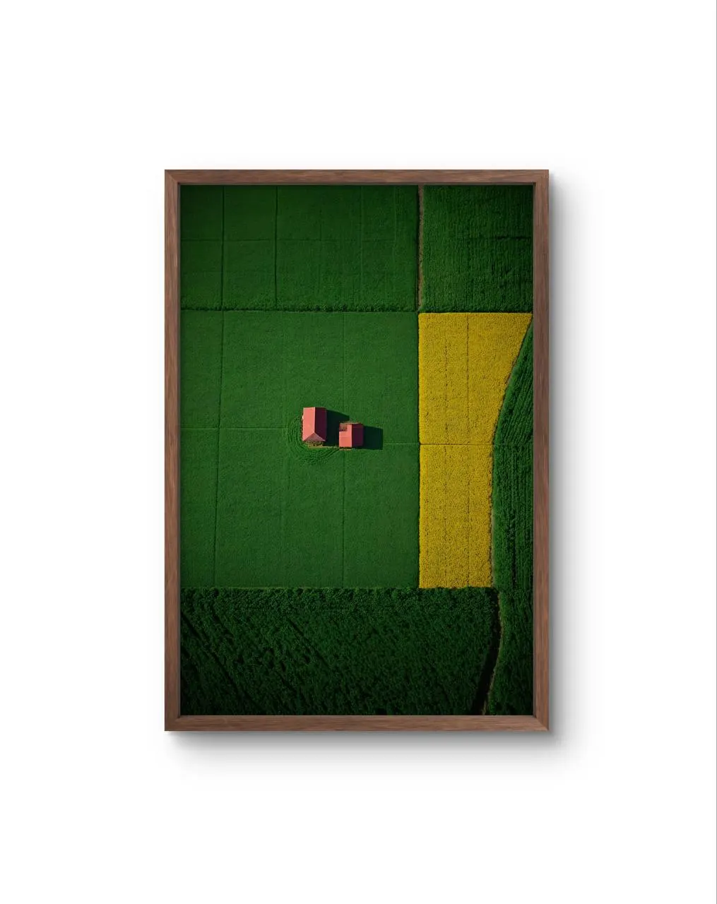 Bellucci - The Red Houses in a Sea of Green — Fotografie is prima kunstprint door Bellucci