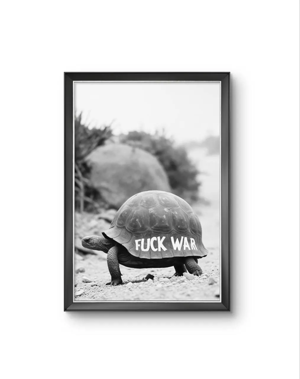 Bonaque - A Statement on the Shell — Fotografie is prima kunstprint door Bonaque
