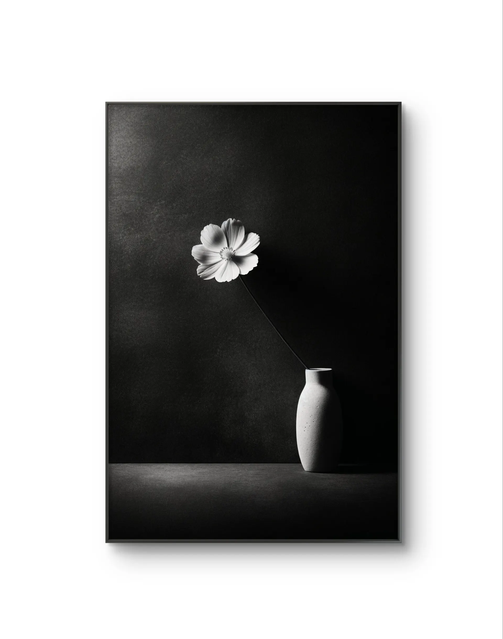 Bonaque - Elegance in Simplicity — Fotografie is prima kunstprint door Bonaque