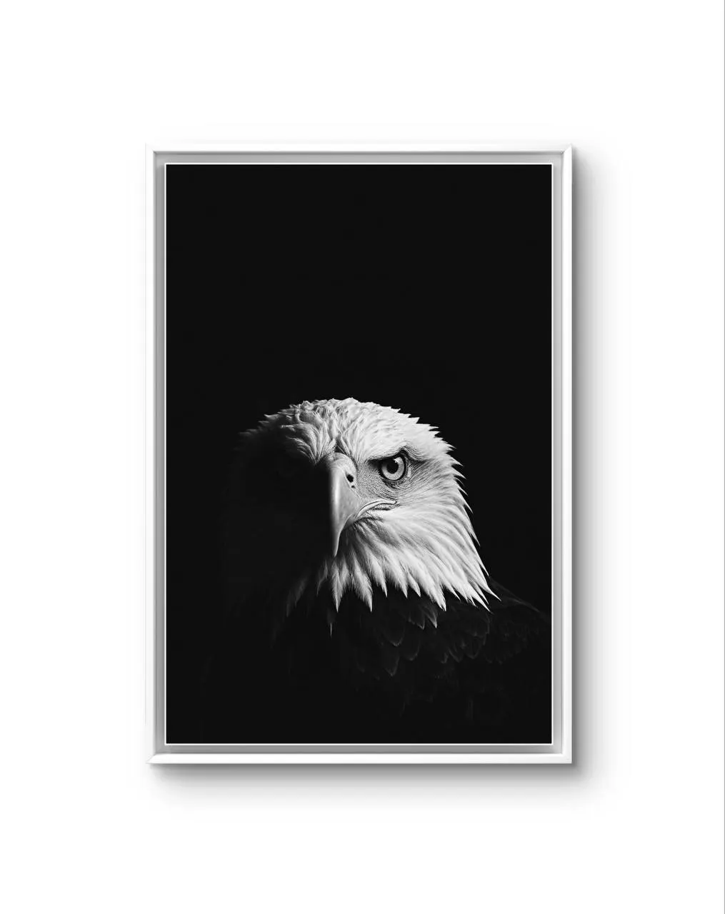 Bonaque - Majestic Sentinel — Fotografie is prima kunstprint door Bonaque