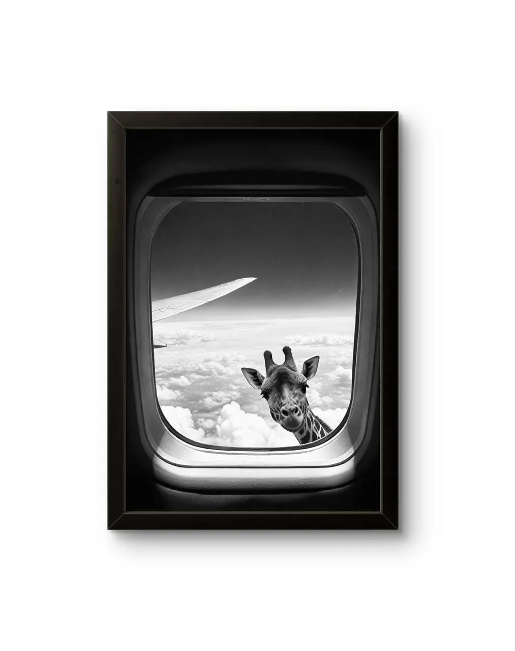 Bonaque - Skybound Curiosity — Fotografie is prima kunstprint door Bonaque