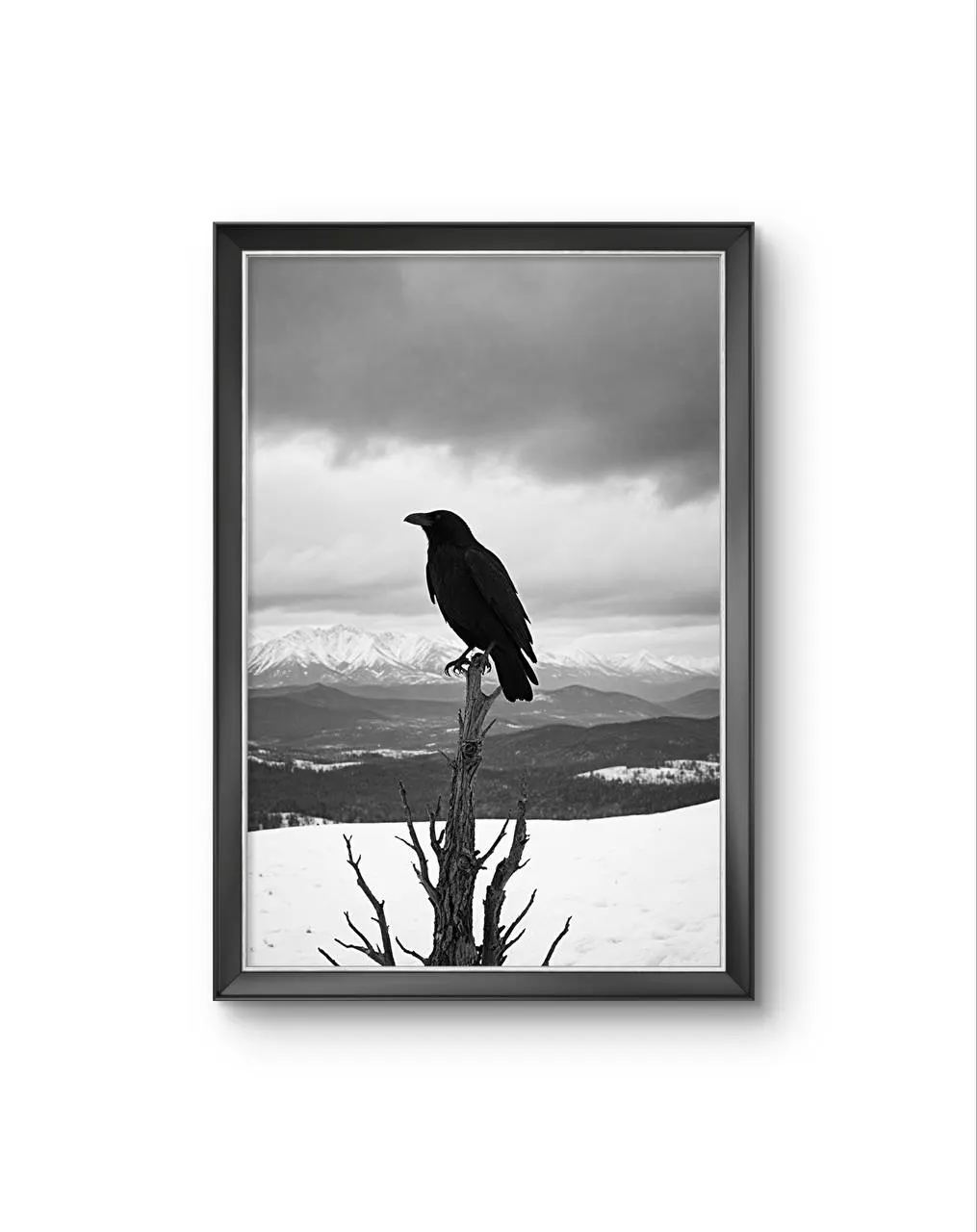 Bonaque - The Watchful Raven — Fotografie is prima kunstprint door Bonaque